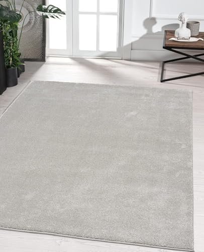the carpet Marley eleganter Designer Teppich Wohnzimmer, weicher & pflegeleichter Kurzflor Wohnzimmerteppich in Silber, 80 x 250 cm