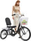 Erwachsene Dreiräder, ältere Dreiräder, ältere Dreiräder mit dreirädernem Fahrrad mit Körben