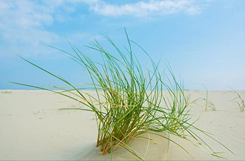 HANSEPUZZLE 26605 - Borkum Puzzle 500 Teile | Reisen Puzzle mit hochwertiger Puzzle Aufbewahrung: Kartonbox und wiederverschließbarem Beutel | Puzzle-Maße: 46 x 30 cm