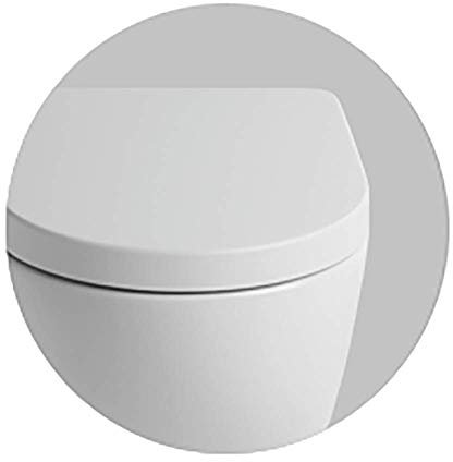 Vaso Wc Bagno Terra Filo Muro Senza Brida traslato File 2.0 in Diversi Colori (Bianco Opaco)
