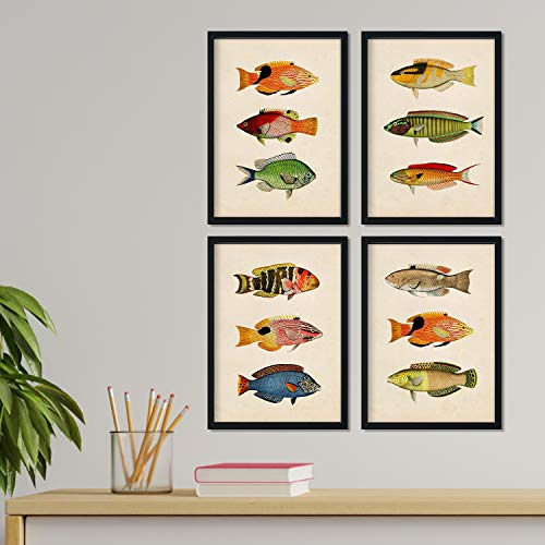Nacnic Set 4 Blatt Fisch Jahrgang bunten Effekt. Elat. Zusammensetzung von 12 verschiedenen Fischen im A4-Format, Jahrgang Hintergrund Altpapier Poster Papier 250 gr hohe Qualität. Marco