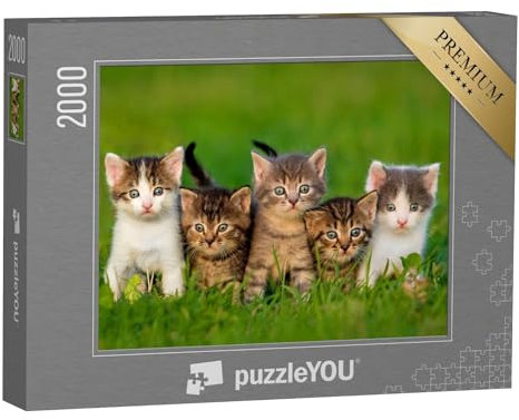 puzzleYOU: Puzzle 2000 Teile „Fünf neugierige Kätzchen“ – aus der Puzzle-Kollektion Katzen-Puzzles