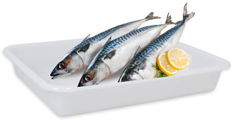 CHEFZOCO Bandeja para frigorífico, Bandeja para hostelería, Bandeja frigorífica para alimentos, Apta para contacto con alimentos, Medidas 35 cm Largo x 27.5 cm Ancho x 6 cm Alto, Plástico, Blanco