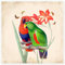 Exotische Papageien I Poster von Mandy Reinmuth 20 x 20 cm Wandbilder Wanddeko