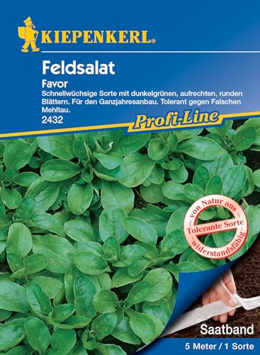 Kiepenkerl Profi-Line Feldsalatsamen Favor, Saatband - Ganzjahresanbau, Einfache Aussaat, Schnellwüchsig & Widerstandsfähig, für Hochbeet, Garten & Gemüsebeet, Ideal für Salatsamen & Gemüseanbau