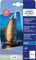 Avery Zweckform Art. C2550-20 Premium Inkjet Fotopapier (20 Blatt, 250 g/m², 10x15cm, hochglänzende Fotokarten, einseitig beschichtet, sofort trocken & wischfest, Fotoblätter für Inkjet-Drucker) weiß