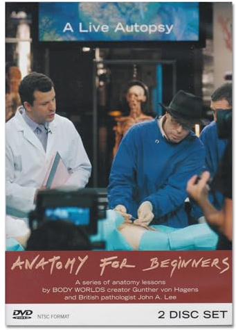 Anatomy For Beginners