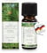 pajoma® Duftöl 10 ml, Cedernholz | 100% Naturrein Ätherisches Öl für Aromatherapie, Duftlampe, Aroma Diffuser, Massage, Naturkosmetik | Premium Qualität