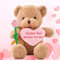 ADORSUN Teddy Bear Stuffed Animal with Heart and Rose as Personalised Valentine Gifts for Her/Him, Teddy Bear with Name or Text for Men/Women on Valentines Day/Birthday/Anniversary (10 IN-Pink Heart)