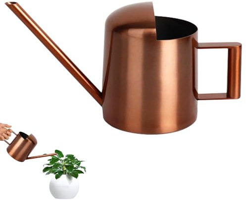 HIULLEN Annaffiatoio da 300 ml, annaffiatoio per piante da interno, piccolo annaffiatoio in acciaio inox, con beccuccio lungo, per interni, ufficio, casa, giardino, balcone, piante grasse (bronzo)