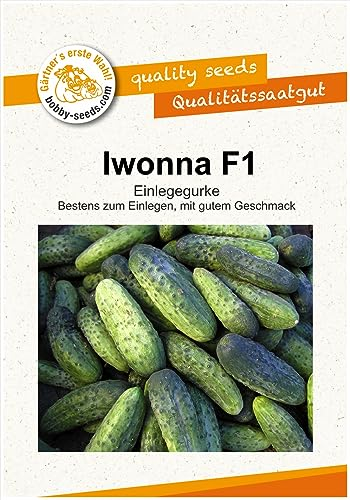 Gurkensamen Iwonna F1 Einlegegurke Portion