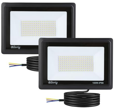 Blivrig 2PCS 100W Faretto LED da esterno Bianco Freddo 6000K, 10000LM Faro LED Parete, Impermeabile IP66 Fari LED Luce Bianca Fredda Proiettore per Cortile Cantiere Giardino