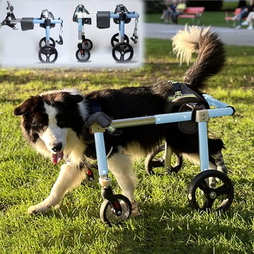Hunderollstuhl, Rollstuhl für große Hunde, 4 Räder/2 Räder, Trolley zur Unterstützung der hinteren Gliedmaßen mittelgroßer Haustiere, L/XL/XXL, Fahrradanhänger für verletzte Hunde mit Beinsc
