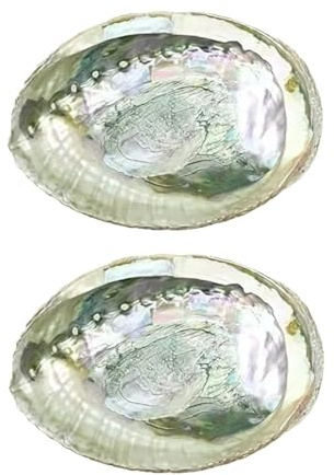 2 bunte modische große Abalone-Schalen, 10,2 - 11,4 cm, exquisite natürliche Muschel-Schüssel zum Verbrennen von Salbei und Räucherstäbchen für Dekoration, Display und tolles Geschenk