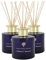 Nicola Spring Patchouli & Rosewood Scented Reed Diffuser - 200ml - Pack of 3 - Aromatherapy 6 Sticks Air Freshener Home Fragrance Diffuser Fragrant Gift Set for Kitchen, Bathroom, Home