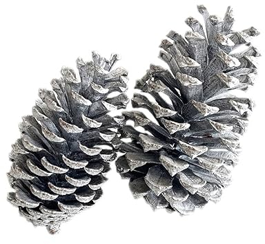 12 Stück Tannenzapfen,Weihnachten Tannenzapfen Dekoration,Natürliche Tannenzapfen Anzapfen Basteln,Christmas Ornaments Christbaumschmuck Weihnachtsschmuck,für Weihnachten Party Deko,Silber 9-12cm