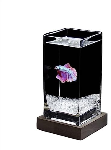 Aquarium Mini Aquarium, quadratisch, hochtransluzent, Kampffischbecken mit Holzsockel, tropisches Aquarium, verdicktes Glas, Desktop-kleines Aquarium Per l'allevamento di pesci rossi(White02)