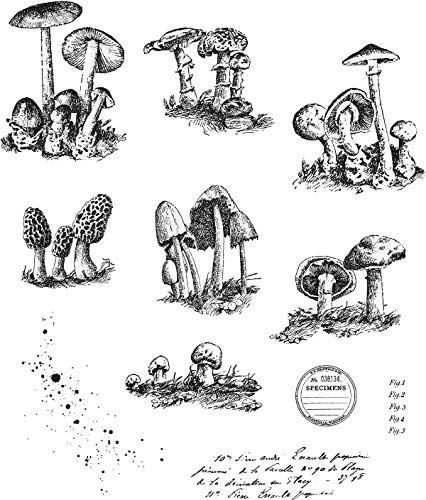 Tim Holtz - Stampers Anon Cling RBBR Stamp Set, Tiny Toadstools, One Size
