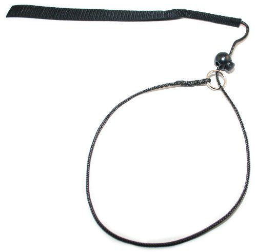 Hunde Design Einwirkhalsung mit Gurt