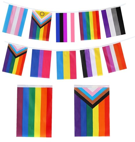 30 Pcs Pride Bunting Flag Decorations,Rainbow Progress Flags Banner Decoration,Gay LGBTQ Party Colorful Ceiling Hanging Pennant Decor,Intersex Banners,for Garden Outdoor Office Accessorie (14 * 21cm)