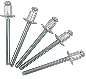 100 Stück Blindnieten 4,8 x 6 mm Kuppelkopf offen Typ DIN 7337 Aluminium Niet und Stahldorn Pop Nieten (100, 4,8 x 6 mm)