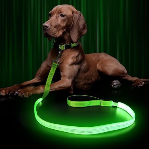 Kpuplol LED Hundeleine für Hunde, Hundeleine Große klein Mittelgroße Hunde mit Gepolstertem, 3 Beleuchtungsmodi Leine Hund, Wasserdicht hundeleinen, Leuchtend Hundeleine