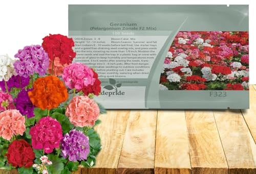 Outsidepride Mix Geranium Seeds for Planting - 100 Pcs Annual, Heat & Drought Tolerant Flower Seeds with Green Foliage & Mix Blooms for Pots, Borders & Lush Summer Garden Displays