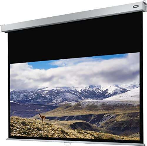 celexon Pro Plus Écran de Projection Manuel 80 | 180x102 cm 16:9 | Écran 4K, Full-HD Extensible manuellement pour Les présentations de Bureau et Le Home Cinéma | Montage Mural & au Plafond