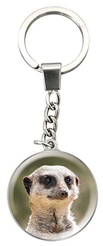 Deluxebase Magnidome Schlüsselanhänger Erdmännchen Bezaubernder Glas-Schlüsselanhänger Erdmännchen Kuppel Illustration mit Edelstahlkette