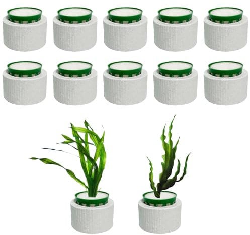 12 Pack New Upgrade Aquatic Plants Fixed Ring Set, Anti-Floating Ceramic Aquarium Plant Rings, Aquarium Plant Weights Pot Aquarium Landscape Decoration Fish Tank Accessories 1.8 x 1.3 Inch