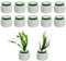 12 Pack New Upgrade Aquatic Plants Fixed Ring Set, Anti-Floating Ceramic Aquarium Plant Rings, Aquarium Plant Weights Pot Aquarium Landscape Decoration Fish Tank Accessories 1.8 x 1.3 Inch