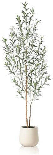 Fopamtri Artificial Olive Tree 180 cm Artificial Plants Indoor, Faux Olive Tree with Natural Wood Trunk and Lifelike Olive Leaves in White Planter for Home Bedroom Corner Garden (1 Pack)