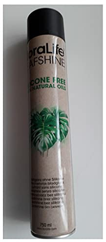 Blattglanz 750ml 1 Dose