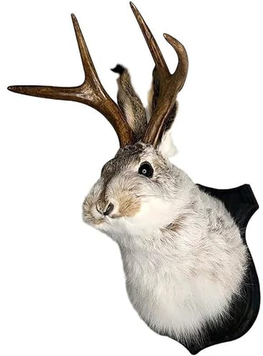 HSOSK Jackalope Mount, Jackalope Taxidermy, Deer Head Wall Mount, Resin Deer Head Animal Wall Art, for Home Wall Decoration
