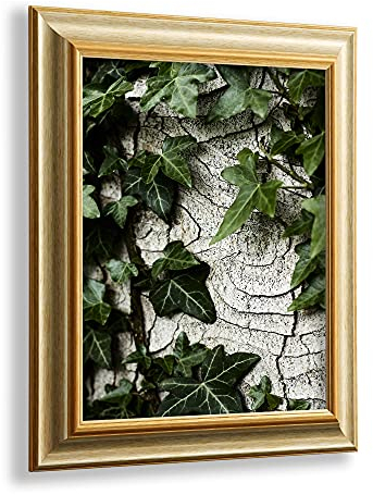 VO design Dekorativer Bilderrahmen Kjell aus Massivholz in 40 x 30 cm Champagner Gold Dekor im Vintage Stil mit antireflex Kunstglasscheibe