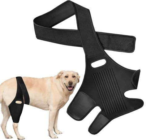 Monozoz Kniebandage für Hunde, hintere Beinstütze für Hunde, mit 10 Stützstöcken, atmungsaktive Hüftstütze für Hunde - Atmungsaktive Hinterbeinstütze für große Hunde, Schutz