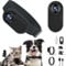 Goshyda HD 1080P Cat Collar Camera, 170° Wide Angle Lens Pet Dog Collar Camera, Mini Sports Action Camera with Video Records, for Mountain Biking Pets Travel