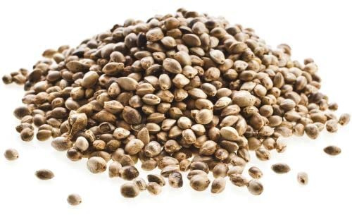 WachtelGlück Hanfsamen Futterhanf für Geflügel, Wachteln Hühner 1 Kg | Bessere Befruchtung