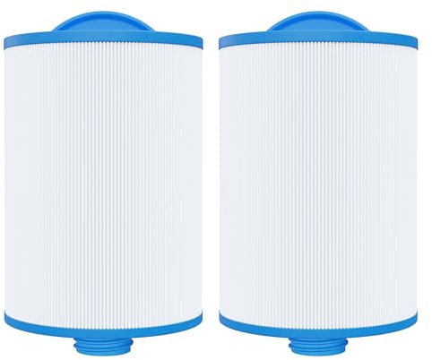 Nexbriz Cartouche Filtrante Spa Compatible avec PWW50P3, 2PCS | Remplace 6CH-940, PWW50P3, FC-0359, SC714, 60401, WY45, Wellis AKU1810, 817-0050