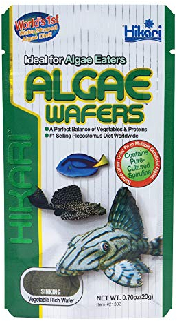 Hikari 48684/316 Sales Tropical Algae Wafers .70 Ounces - 21302