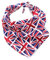 Pet Pooch Boutique Hunde-Halstuch, Union Jack, Größe S/M