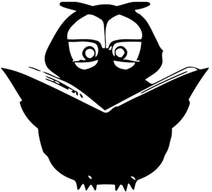 Wandtattoo „Lesebücher“, Eule, Vogel, Nachttier, Kinderzimmer, Buch, Wandaufkleber, Lesezimmer, Kinderzimmerdekor, Vinyl-Aufkleber, Wandbild, klein – 38x42cm