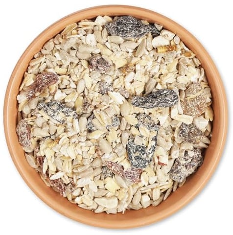 CJ Wildlife Rotkehlchen Vogelfutter 10kg – Wildvogelfutter ganzjährig – Hafer, Sonnenblumenkerne, Mehlwürmer – Proteinreich – Für Gartenvögel