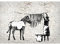 Runa Art Fototapete Washing Zebra Banksy 352 x 250 cm Vlies Tapeten XXL Moderne Wandtapete Wohnzimmer Schlafzimmer Grau 9388011a