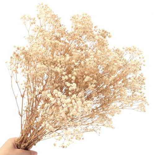 Lot de 70g Gypsophile Séché Fleurs Séchées 2000+Naturelles White Naturel Gypsophila Fleurs Séchées pour Décoration de Mariage Décoration de Cheveux Décoration de Maison Bricolage