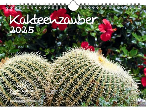 Kakteenzauber DIN A4 Kalender für 2025 Kakteen Blumen und Blüten - Geschenkset Inhalt: 1x Kalender, 1x Weihnachtskarte (insgesamt 2 Teile)