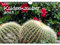 Kakteenzauber DIN A4 Kalender für 2025 Kakteen Blumen und Blüten - Geschenkset Inhalt: 1x Kalender, 1x Weihnachtskarte (insgesamt 2 Teile)