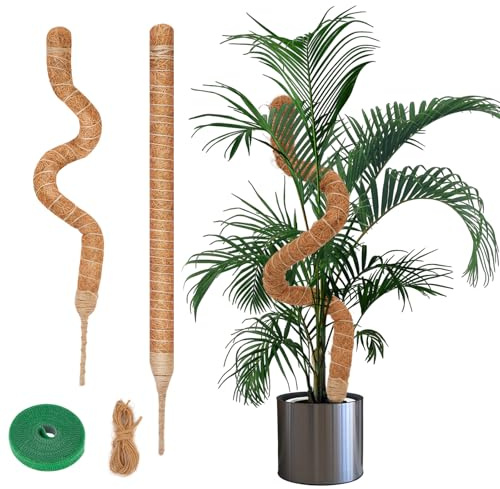Yeecka Palo di Muschio Pieghevole, 2 Pezzi 60cm Palo Cocco Piante, Bastone per Piante Rampicanti, Tutore Muschiato per Monstera per Piante da Interno e Giardino con Struttura Resistente