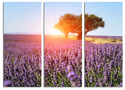 Paul Sinus Art 130x90cm – Keilrahmenbild Lavendelfeld Provence lila Dämmerung 3teiliges Wandbild auf Leinwand und Keilrahmen - Fotobild Kunstdruck Artprint