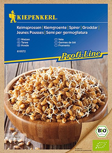 Bio Keimsprossen verschiedene Sorten Alfalfa Radies Brokkoli Weizen Rauke Linsen Zwiebel (Weizen)